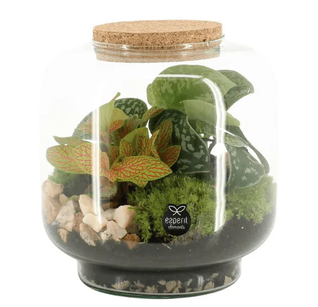 Terárium v skle Compo Terrarium 90614 - Kvety Shop